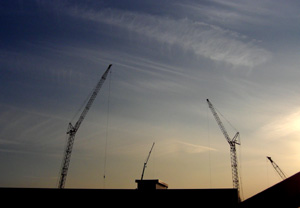sunset cranes.JPG